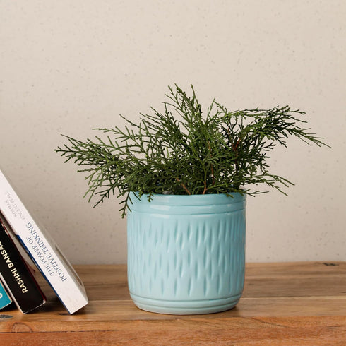 Blue Carved Cylindrical Ceramic Clay Pots - The Earth Store - Vase